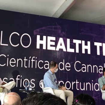 Pesquisas No Uso Da Cannabis Medicinal No Brasil Camposhumana